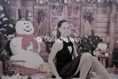 wm_D_0066