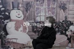 wm_D_0293