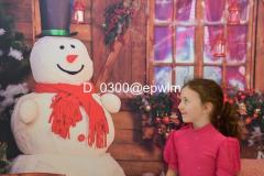wm_D_0300