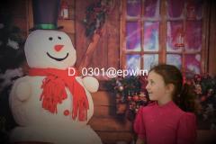 wm_D_0301