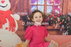wm_D_0309