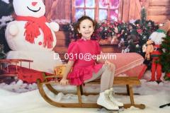 wm_D_0310