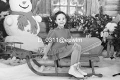 wm_D_0311