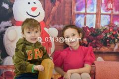 wm_D_0313
