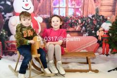 wm_D_0317