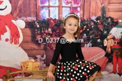 wm_D_0337