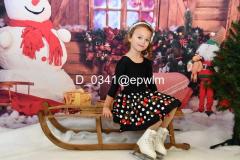 wm_D_0341