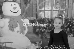 wm_D_0346