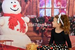 wm_D_0347