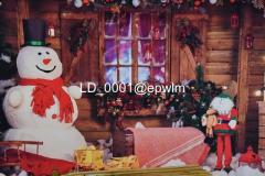 wm_LD_0001