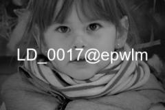 wm_LD_0017
