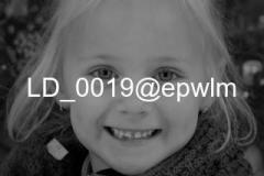 wm_LD_0019