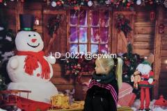 wm_LD_0027