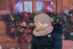 wm_LD_0029