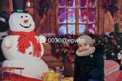 wm_LD_0030
