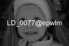 wm_LD_0077