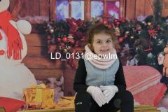 wm_LD_0131