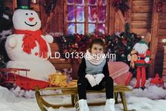 wm_LD_0133