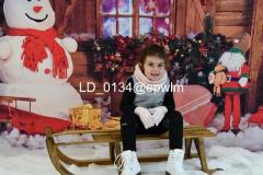 wm_LD_0134