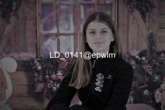 wm_LD_0141