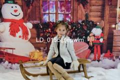 wm_LD_0155