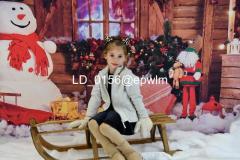 wm_LD_0156