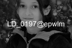 wm_LD_0197