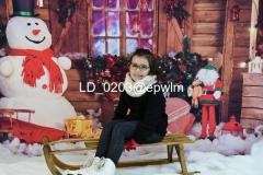 wm_LD_0203