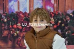 wm_LD_0239