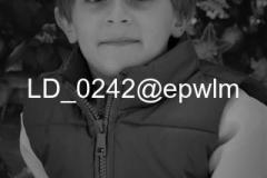 wm_LD_0242