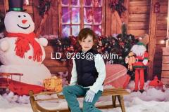 wm_LD_0263