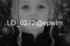 wm_LD_0272