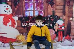 wm_LD_0290