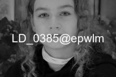 wm_LD_0385