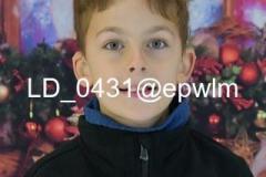 wm_LD_0431