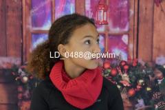 wm_LD_0488