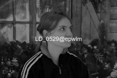 wm_LD_0529