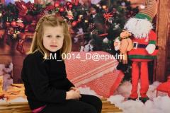 wm_LM_0014
