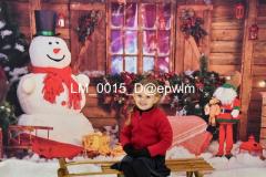 wm_LM_0015