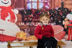 wm_LM_0029