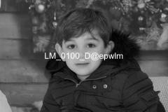 wm_LM_0100