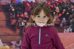 wm_LM_0119