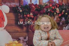 wm_LM_0133