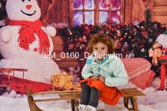 wm_LM_0160