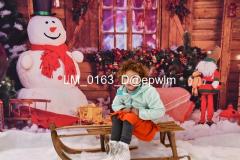 wm_LM_0163