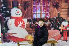 wm_LM_0203