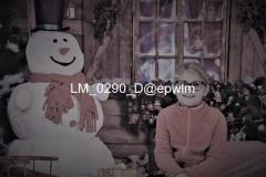 wm_LM_0290