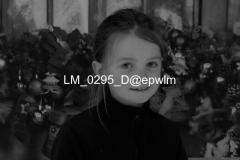 wm_LM_0295