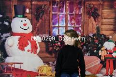 wm_LM_0299