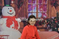 wm_LM_0334